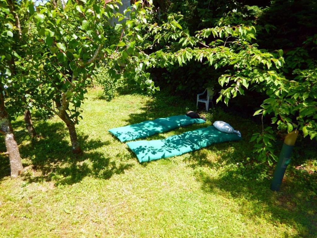 80 M2 Independant 4 Personnes Direct Gare Ou Aeroport Jardin Piscine Apartment Toulouse Luaran gambar